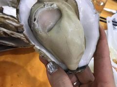 -蚝专家(北滘店)