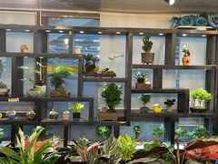 -双季花艺园艺市场(浦东店)
