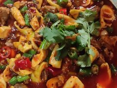 -青城甲(青城山店)