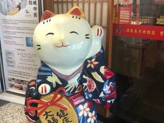 -汤泉良子(金源店)