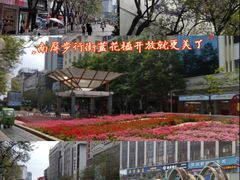 -南屏步行街