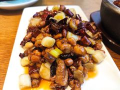 -张烤鸭·川菜·非遗冒烤鸭(青石桥店)