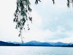 -杭州西湖柳莺里酒店