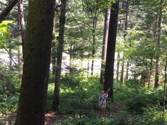 -五营红松林海景区