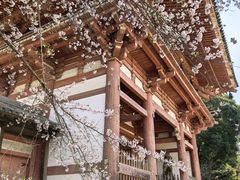 -醍醐寺