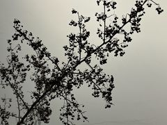 -六出私塾LiuChu•成人美术书法系统课程专业画室(熊婆婆的花园店)