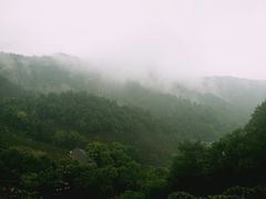 -西湖风景区十里琅珰-五云山