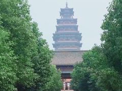 -微山湖红荷湿地景区