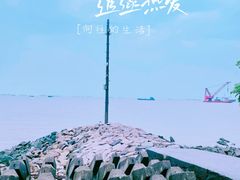 -上海滨江森林公园