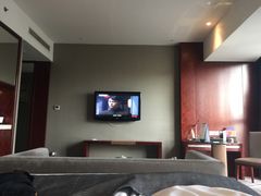 -常州环球恐龙城维景国际大酒店