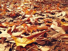 -艾溪湖湿地公园