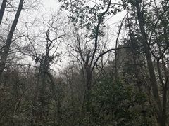 -杭州半山国家森林公园