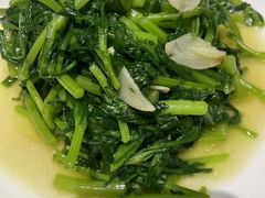 -西塘人家•黑金冠本地好店