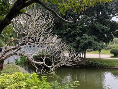 -人民公园(罗湖区)