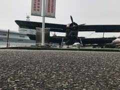 -东方绿舟景区