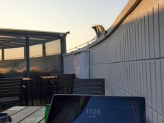 -塔顶·Cafe·日啡夜酒(北京路店)