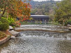 -云溪植物园