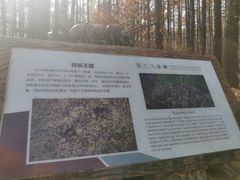 -白草畔自然风景区