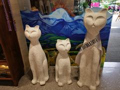 -猫姐私人烘培定制
