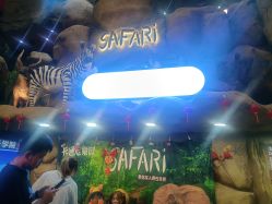 -卡通尼·Safari非洲探索乐园·生日会(金桥国际商业广场店)