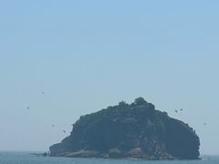 -棒棰岛宾馆景区