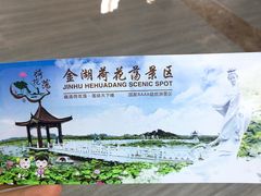 -荷花荡