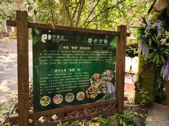 -野象谷景区