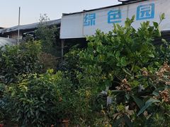 -桂林市花鸟市场