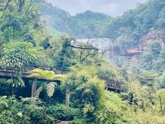 -赤水丹霞旅游区·大瀑布