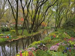 -上海共青森林公园