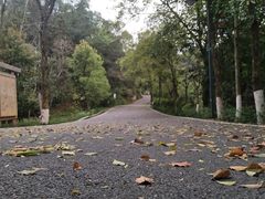 -神光山国家森林公园