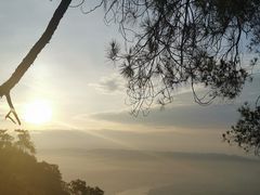 -缙云山景区