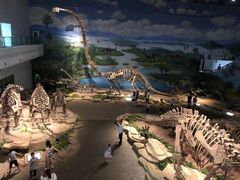 -自贡恐龙博物馆