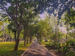 -中国科学院西双版纳热带植物园