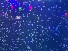 -太平洋海底世界