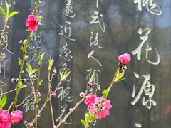 -桃花涧
