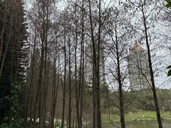 -深圳龙潭公园