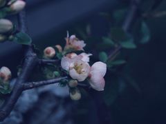 景点-荆川公园