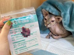-谐和贝康宠物医院24小时·宠保定点(急重症转诊中心)