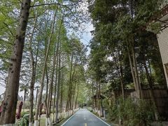 -夏河溪乡野公园