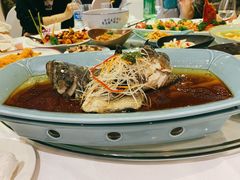清蒸鲈鱼-重庆万豪中餐厅·Man Ho