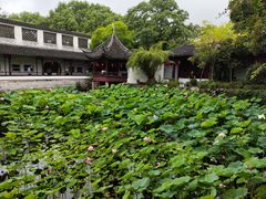 -上海醉白池公园