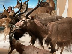 -陕西自然博物馆