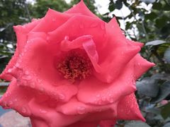 -映月湖公园