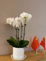 -Yestar杭州艺星医疗美容医院