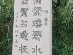 -重庆彩云湖湿地公园