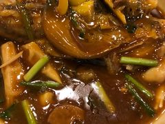 红烧菊黄河豚-扬州狮子楼·非遗淮扬菜(总店)
