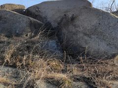 -白水寺森林公园