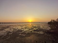 -宝安西湾红树林湿地公园