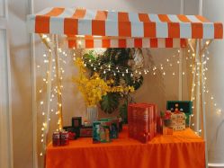 -MISSJANE简夫人美容定制中心